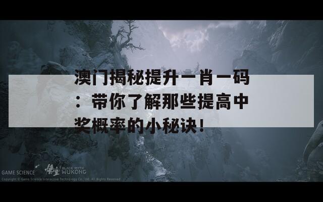 澳门揭秘提升一肖一码：带你了解那些提高中奖概率的小秘诀！