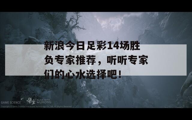 新浪今日足彩14场胜负专家推荐，听听专家们的心水选择吧！