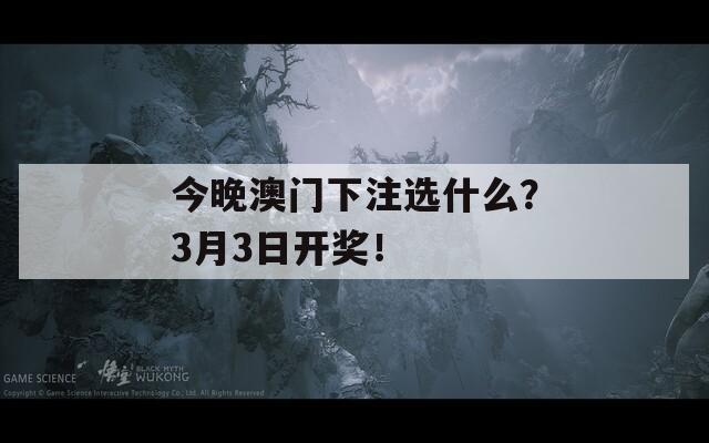 今晚澳门下注选什么？3月3日开奖！