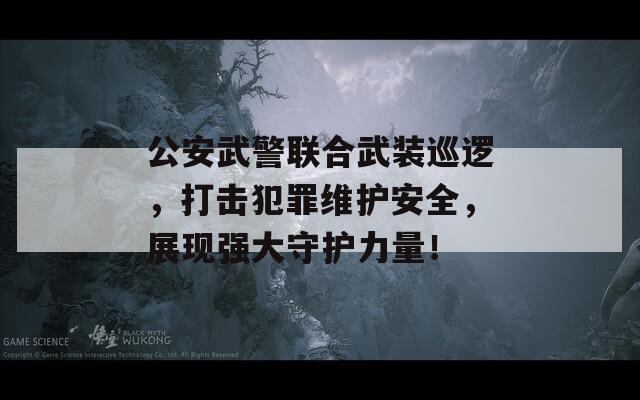 公安武警联合武装巡逻，打击犯罪维护安全，展现强大守护力量！