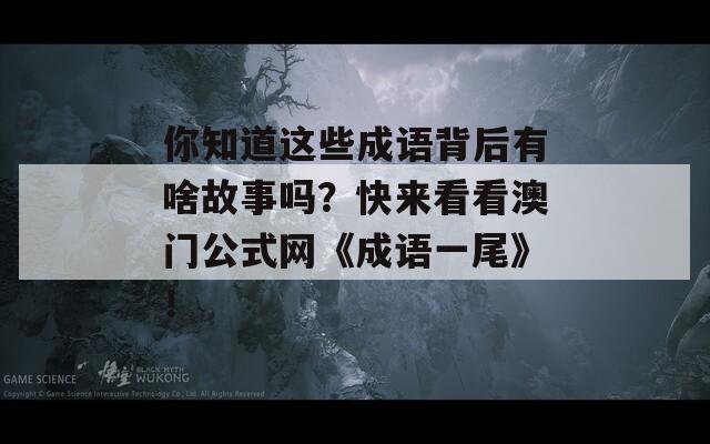 你知道这些成语背后有啥故事吗？快来看看澳门公式网《成语一尾》！