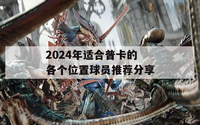 2024年适合普卡的各个位置球员推荐分享