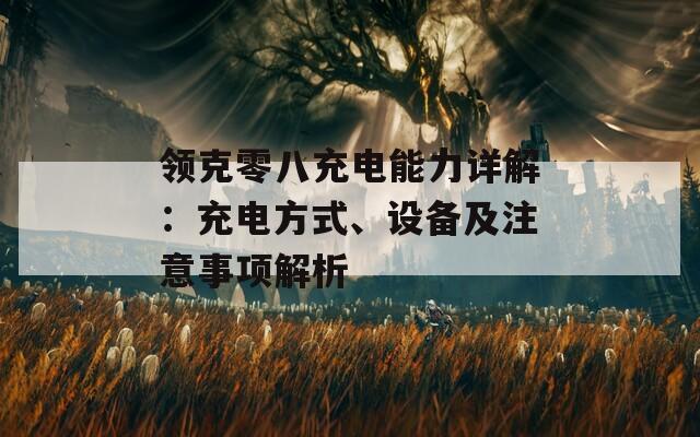 领克零八充电能力详解：充电方式、设备及注意事项解析