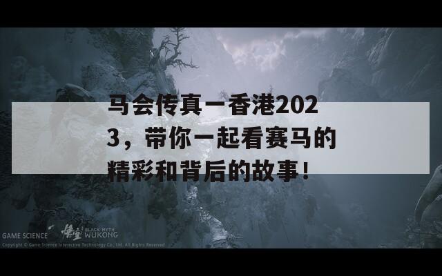 马会传真一香港2023，带你一起看赛马的精彩和背后的故事！