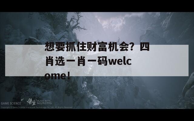 想要抓住财富机会？四肖选一肖一码welcome！