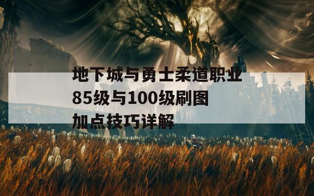 地下城与勇士柔道职业85级与100级刷图加点技巧详解