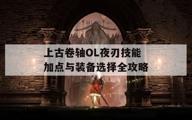 上古卷轴OL夜刃技能加点与装备选择全攻略