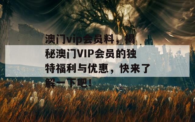 澳门vip会员料，揭秘澳门VIP会员的独特福利与优惠，快来了解一下吧！