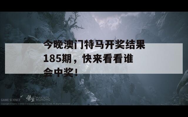 今晚澳门特马开奖结果185期，快来看看谁会中奖！