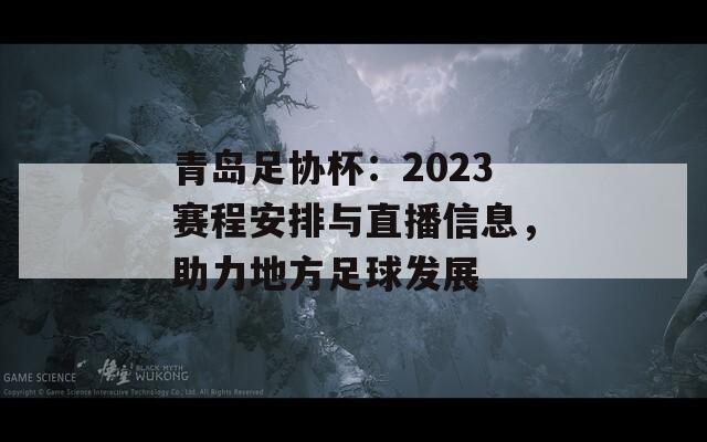 青岛足协杯：2023赛程安排与直播信息，助力地方足球发展