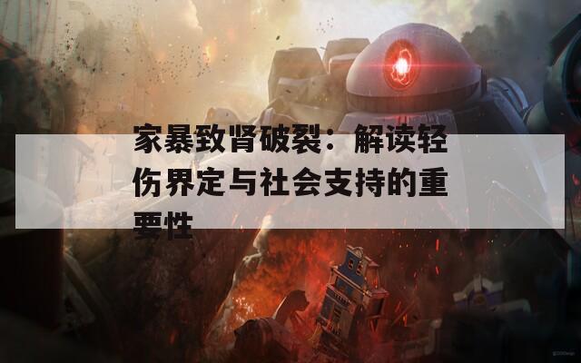 家暴致肾破裂：解读轻伤界定与社会支持的重要性