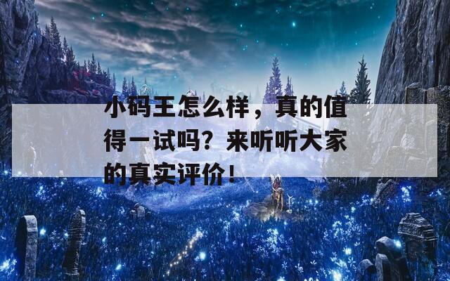 小码王怎么样，真的值得一试吗？来听听大家的真实评价！