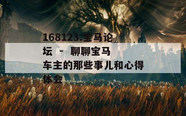 168123.宝马论坛  -  聊聊宝马车主的那些事儿和心得体会