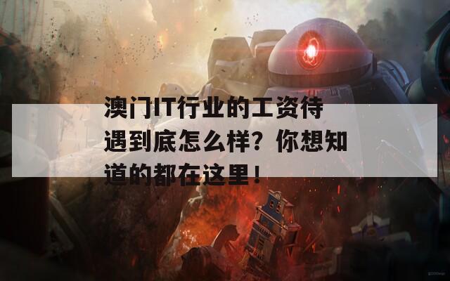 澳门IT行业的工资待遇到底怎么样？你想知道的都在这里！