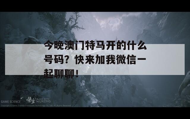 今晚澳门特马开的什么号码？快来加我微信一起聊聊！