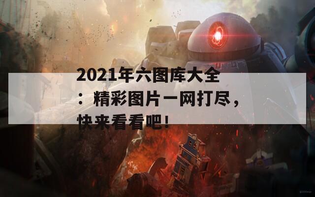 2021年六图库大全：精彩图片一网打尽，快来看看吧！