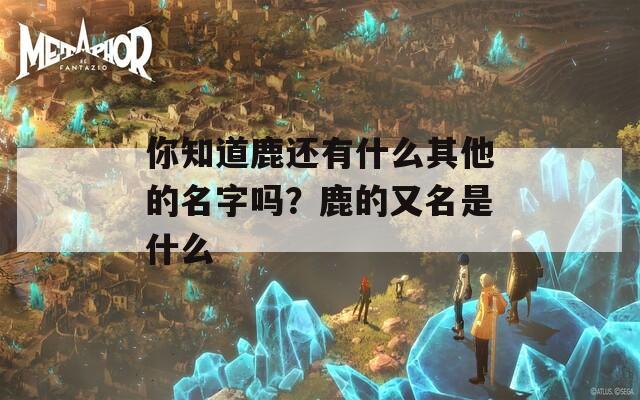 你知道鹿还有什么其他的名字吗？鹿的又名是什么