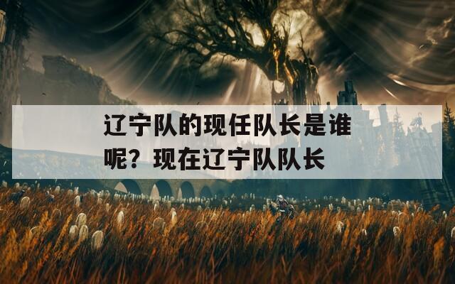 辽宁队的现任队长是谁呢？现在辽宁队队长