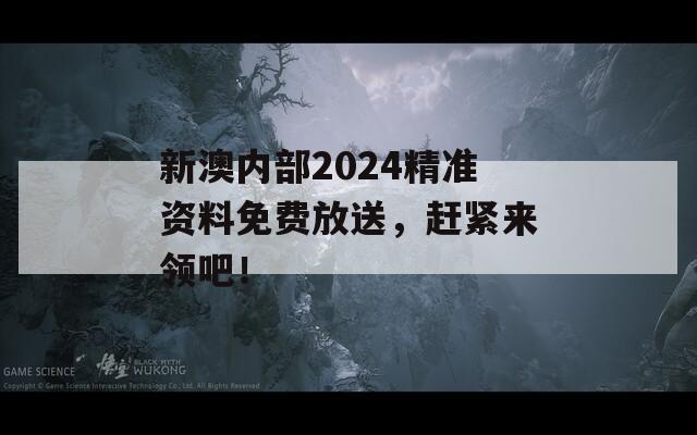 新澳内部2024精准资料免费放送，赶紧来领吧！