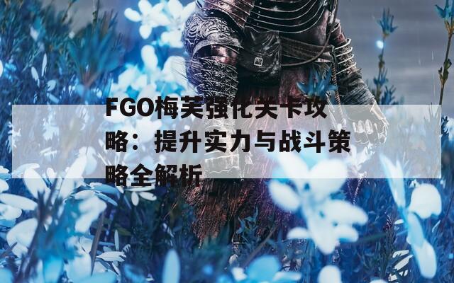 FGO梅芙强化关卡攻略：提升实力与战斗策略全解析