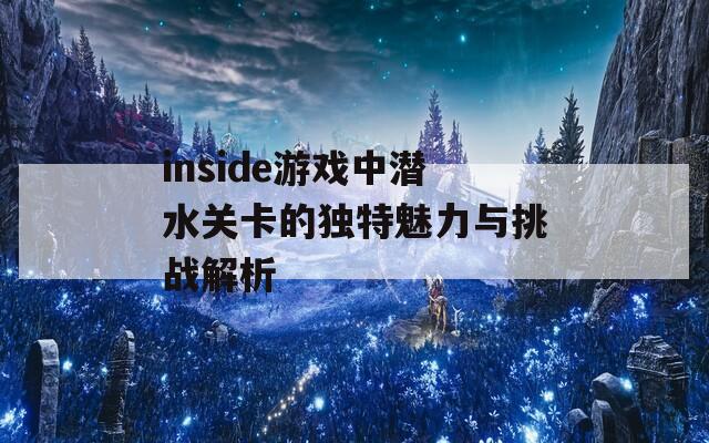 inside游戏中潜水关卡的独特魅力与挑战解析