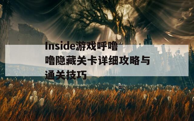 Inside游戏呼噜噜隐藏关卡详细攻略与通关技巧