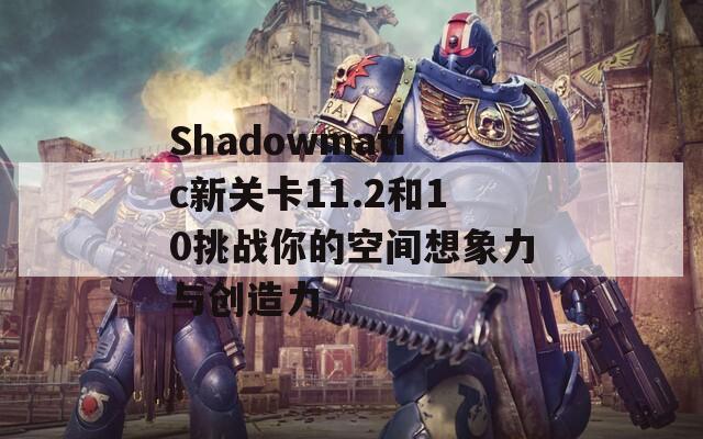 Shadowmatic新关卡11.2和10挑战你的空间想象力与创造力