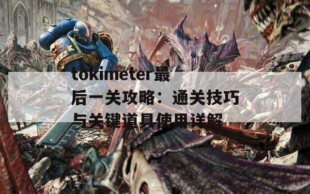 tokimeter最后一关攻略：通关技巧与关键道具使用详解