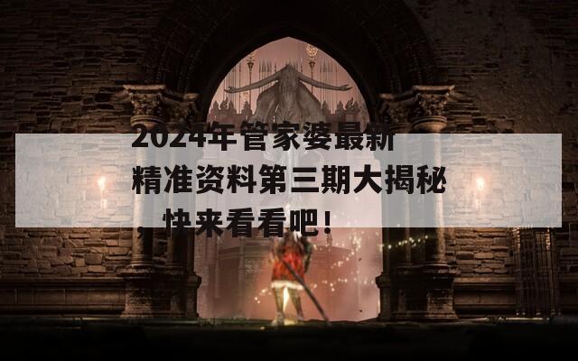 2024年管家婆最新精准资料第三期大揭秘，快来看看吧！