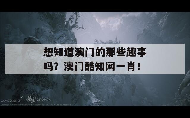 想知道澳门的那些趣事吗？澳门酷知网一肖！