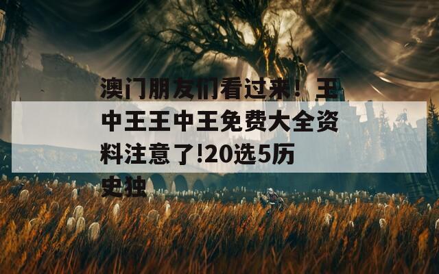 澳门朋友们看过来！王中王王中王免费大全资料注意了!20选5历史独