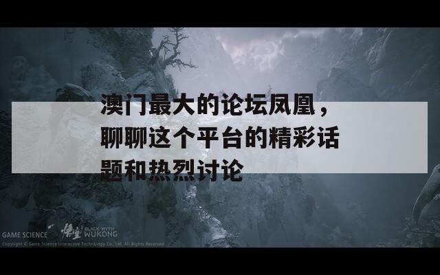 澳门最大的论坛凤凰，聊聊这个平台的精彩话题和热烈讨论