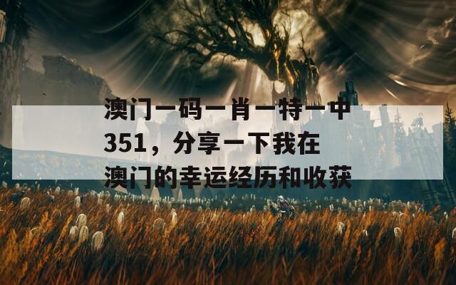 澳门一码一肖一特一中351，分享一下我在澳门的幸运经历和收获