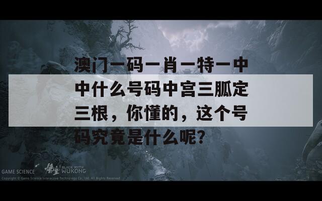 澳门一码一肖一特一中中什么号码中宫三胍定三根，你懂的，这个号码究竟是什么呢？