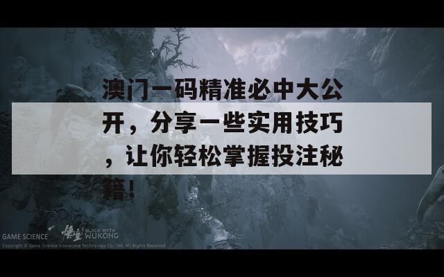 澳门一码精准必中大公开，分享一些实用技巧，让你轻松掌握投注秘籍！