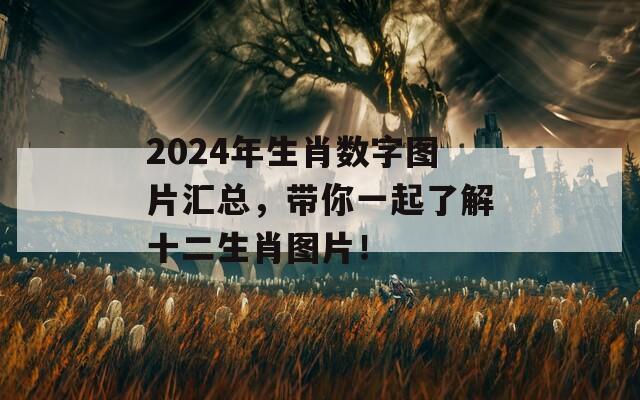 2024年生肖数字图片汇总，带你一起了解十二生肖图片！