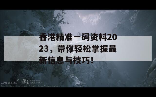 香港精准一码资料2023，带你轻松掌握最新信息与技巧！