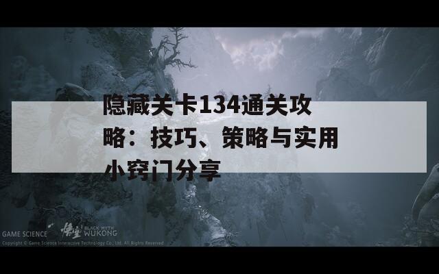 隐藏关卡134通关攻略：技巧、策略与实用小窍门分享
