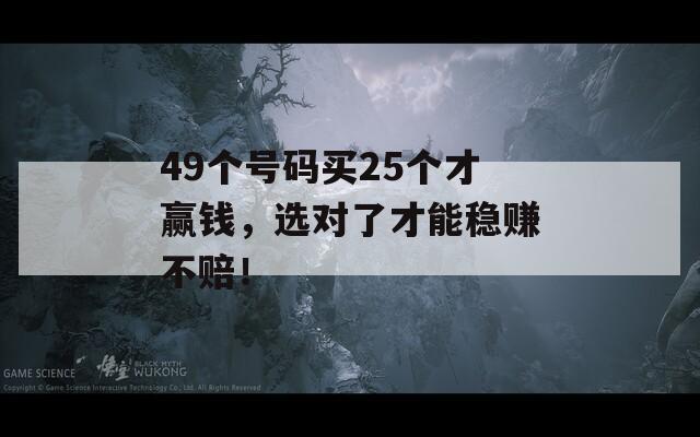 49个号码买25个才赢钱，选对了才能稳赚不赔！